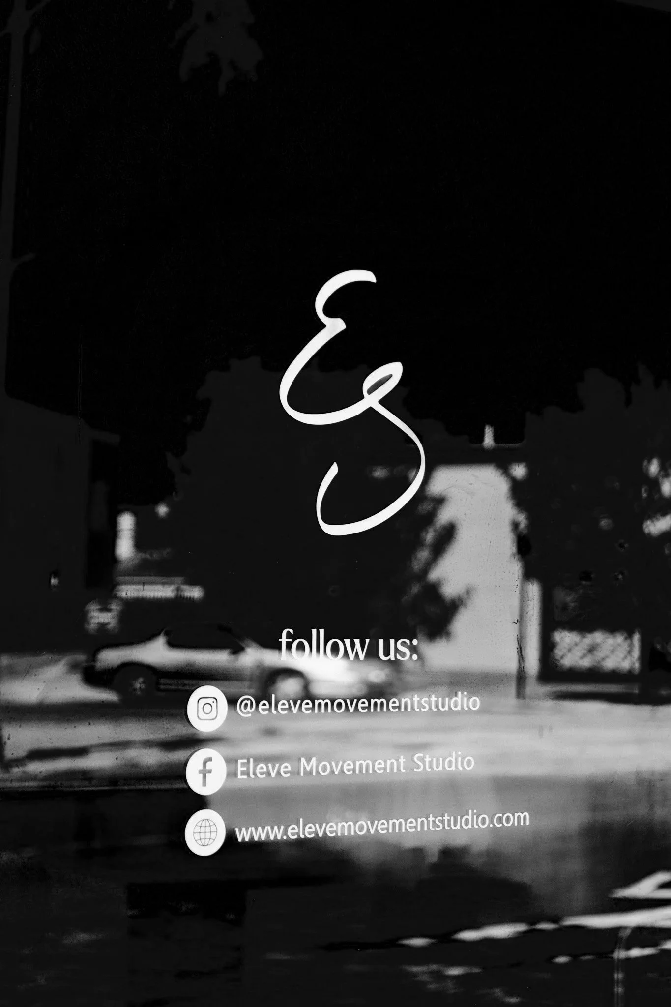 Eleve Movement Studio