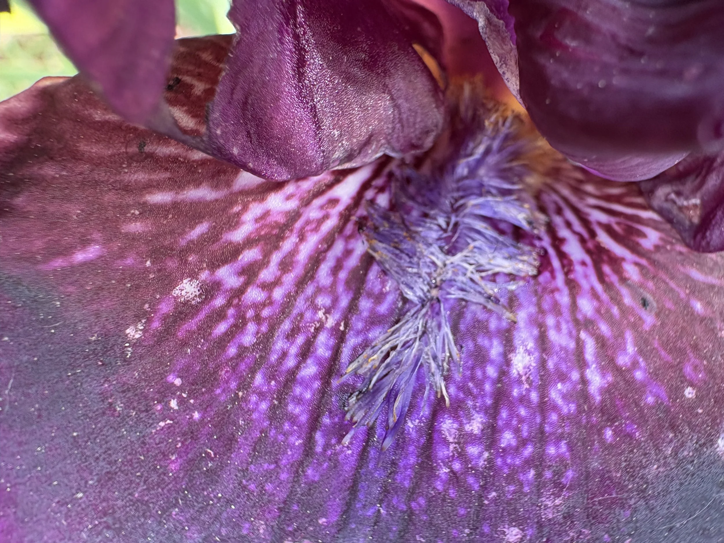 Welcome to Everything is Connected