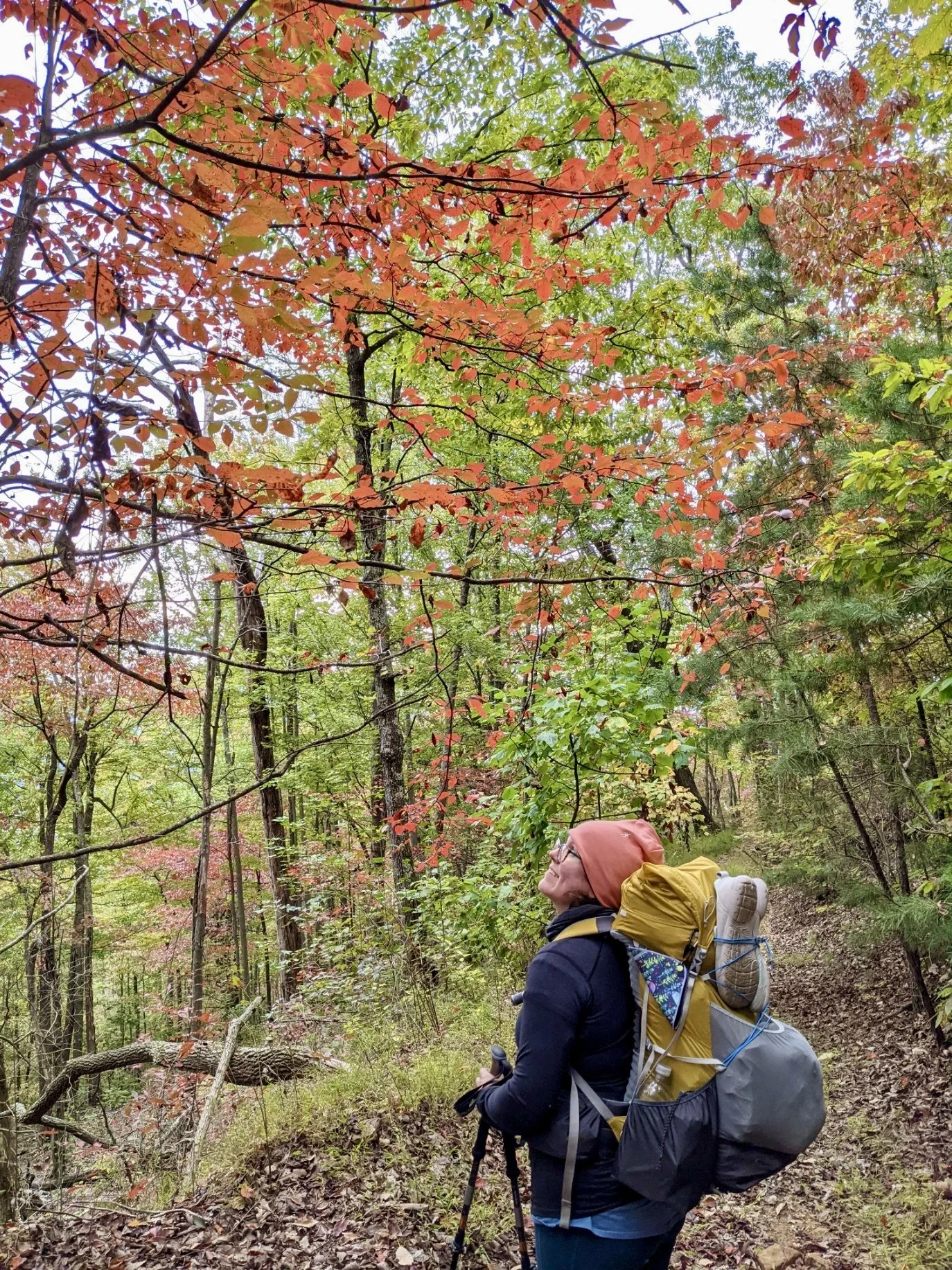 Seasonal Self Care: Autumn Retreat