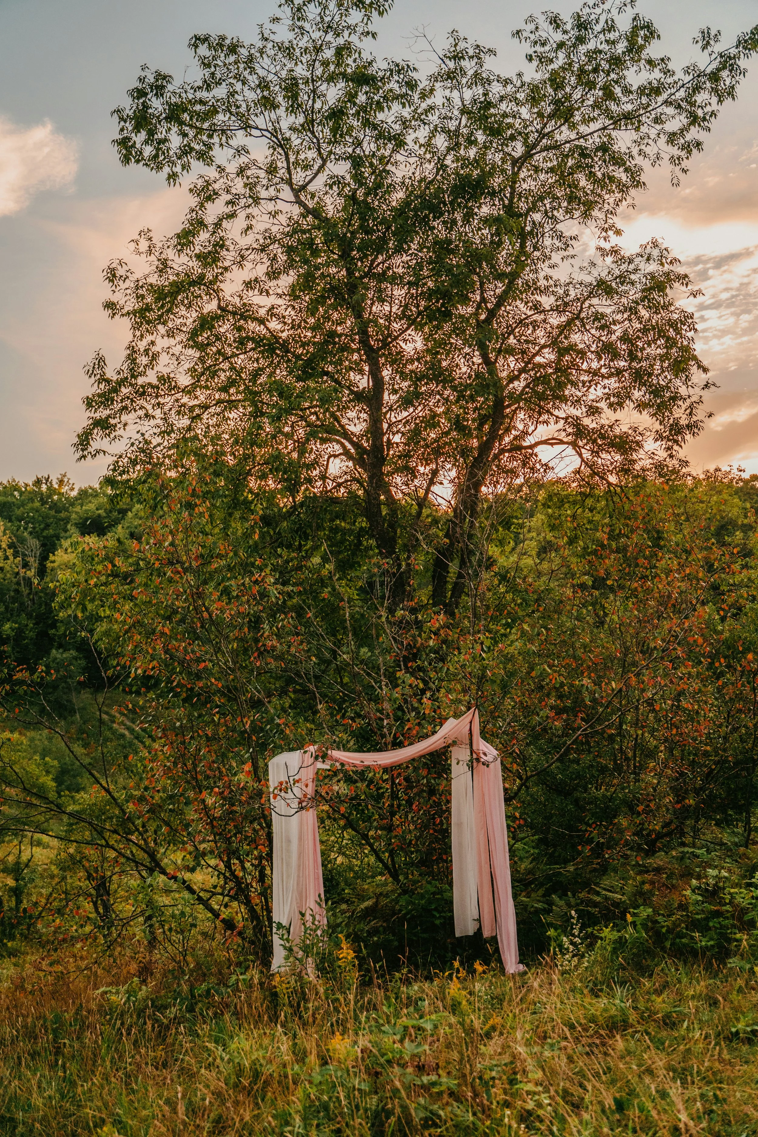 Elopement & Intimate Weddings