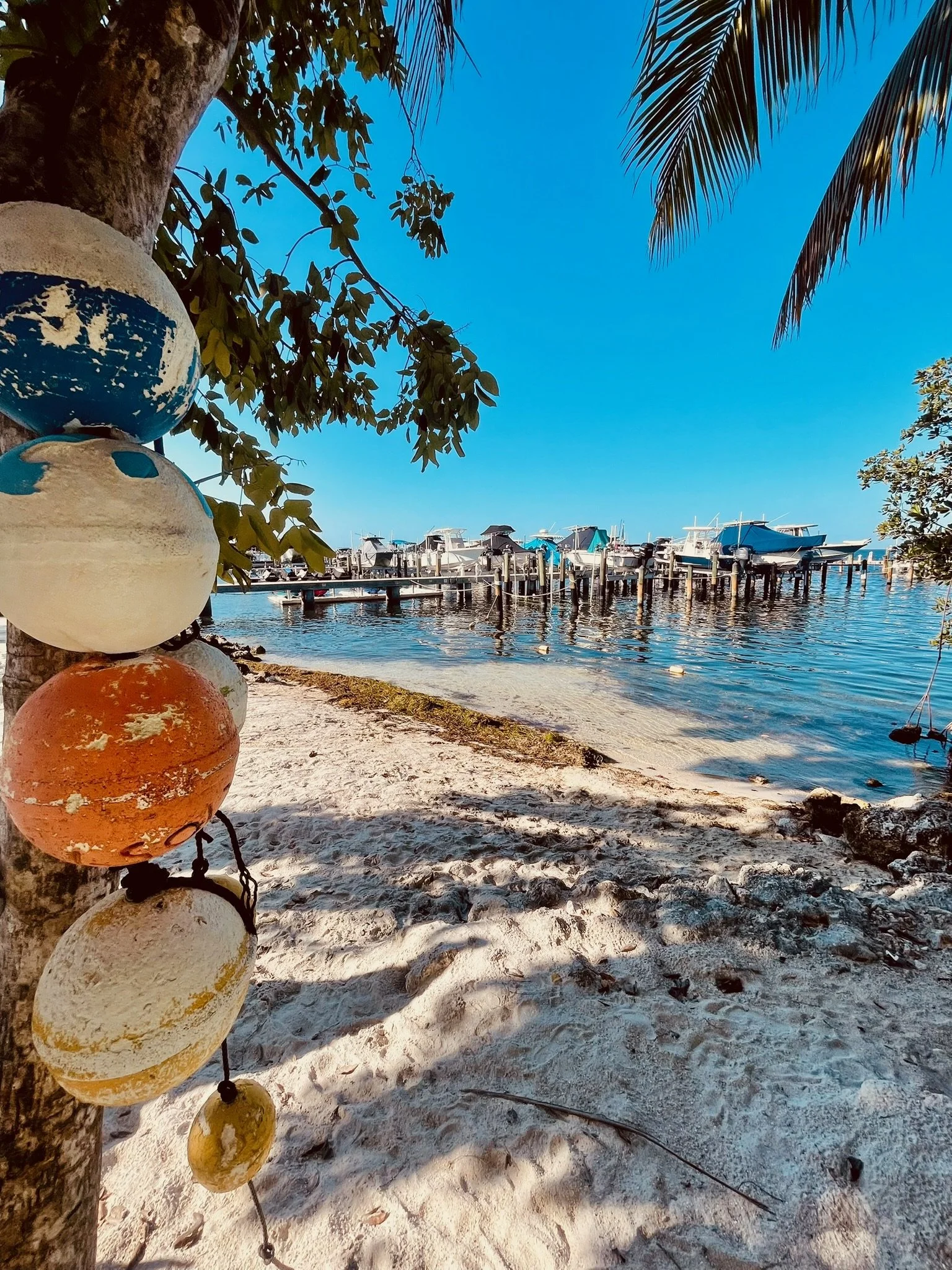 Enjoy the private beach at Moon Bay in Key Largo, where guests can swim, kayak, paddleboard, fish, or simply relax while taking in the scenic beauty of Blackwater Sound.