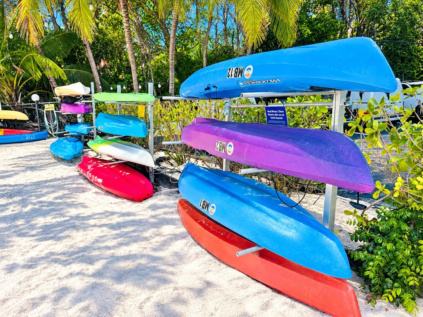 Tropical Kayak Rack in Sunlight(1).jpg
