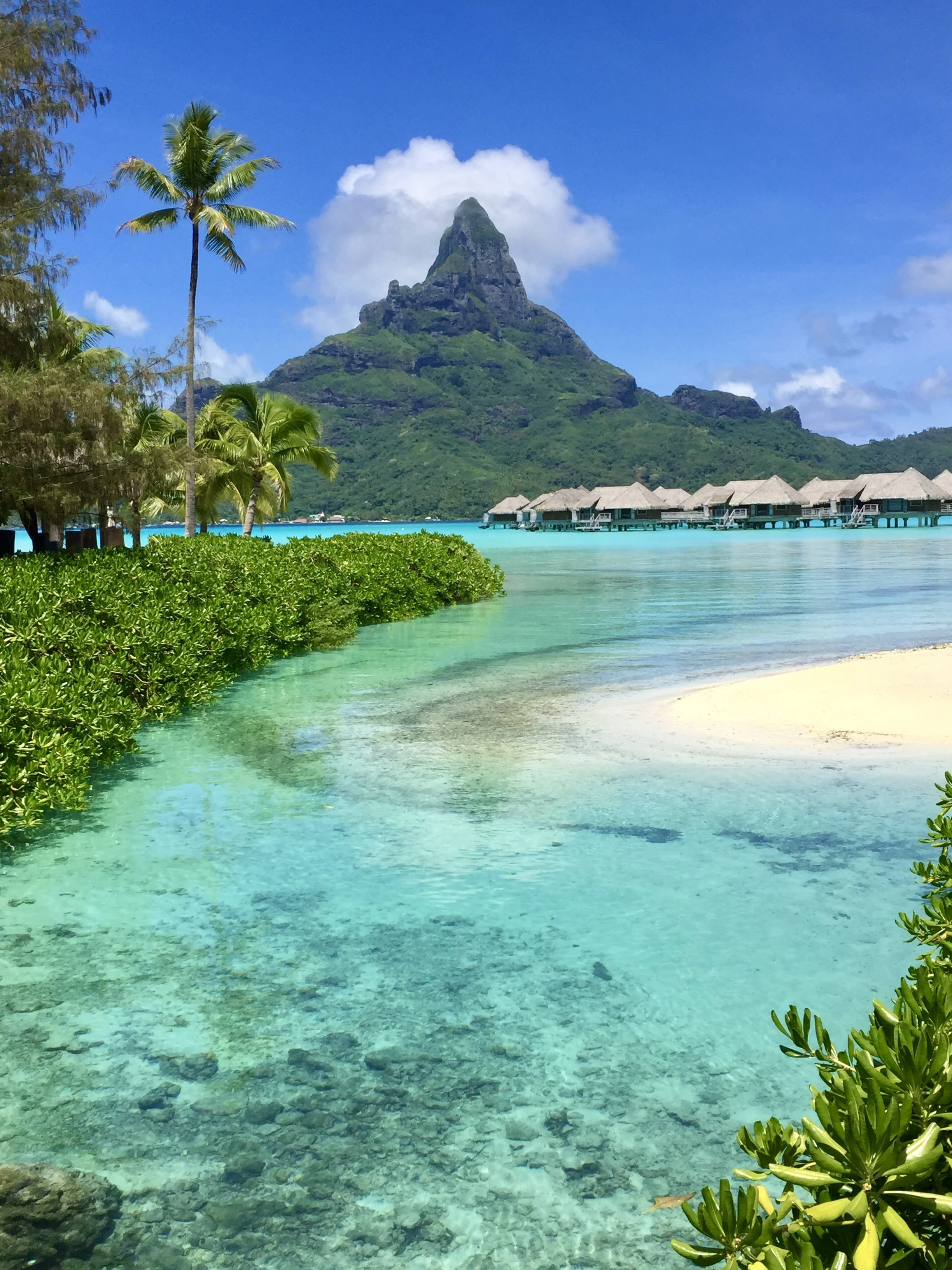 Turquoise lagoons, lush volcanic peaks, and iconic overwater bungalows make Bora Bora one of the world's most unforgettable island escapes.