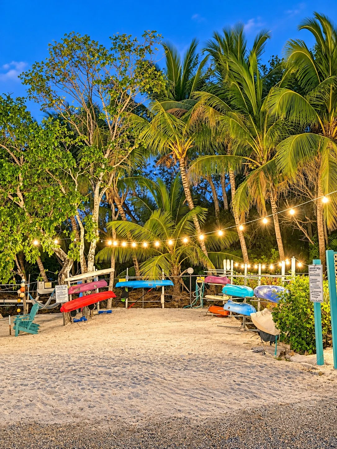 Kayak Beach at Night Summer.jpg
