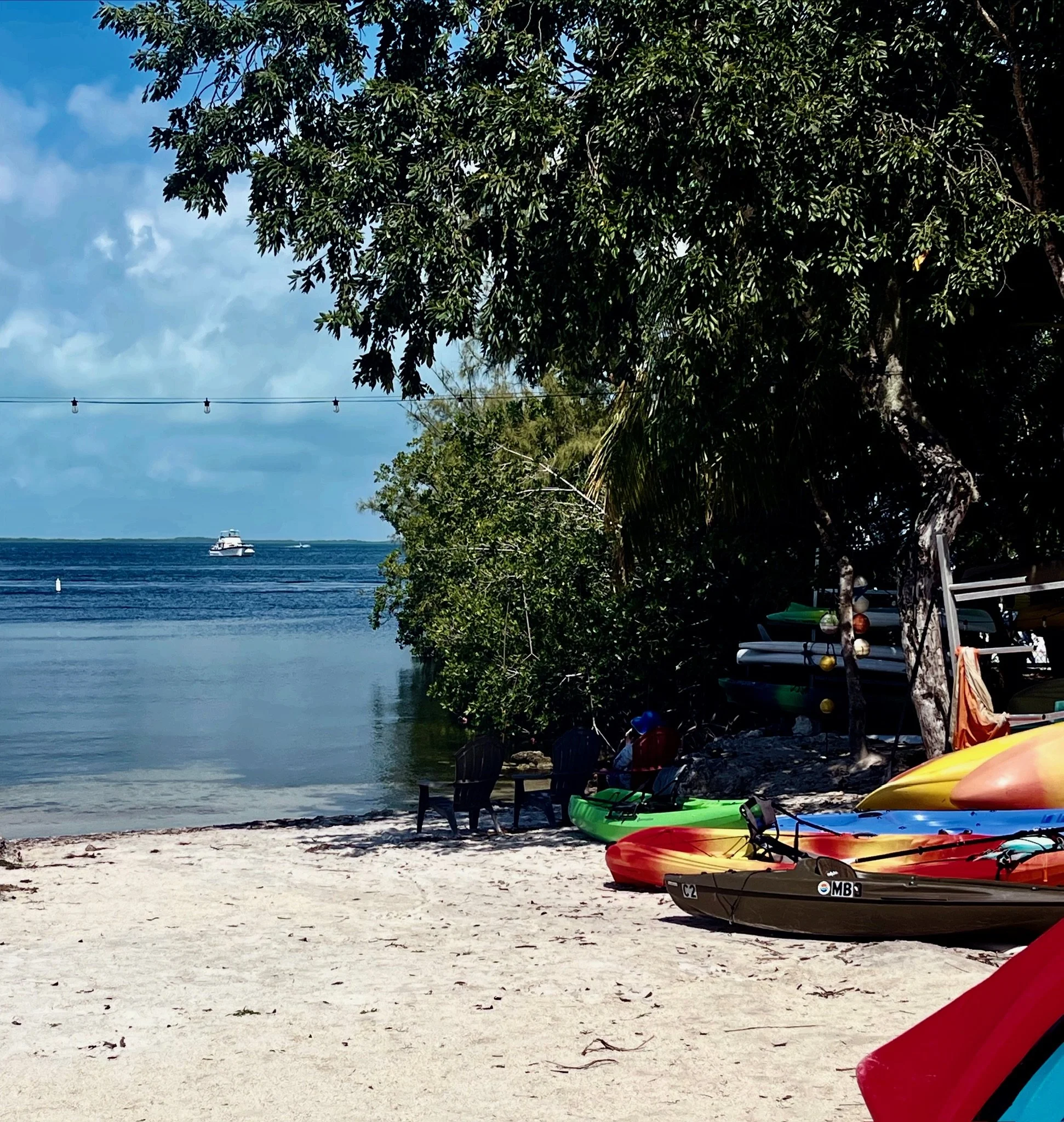 Complimentary kayaks at Moon Bay in Key Largo provide the perfect way to explore Blackwater Sound, paddle through mangroves, spot wildlife, and experience the Florida Keys from the water.