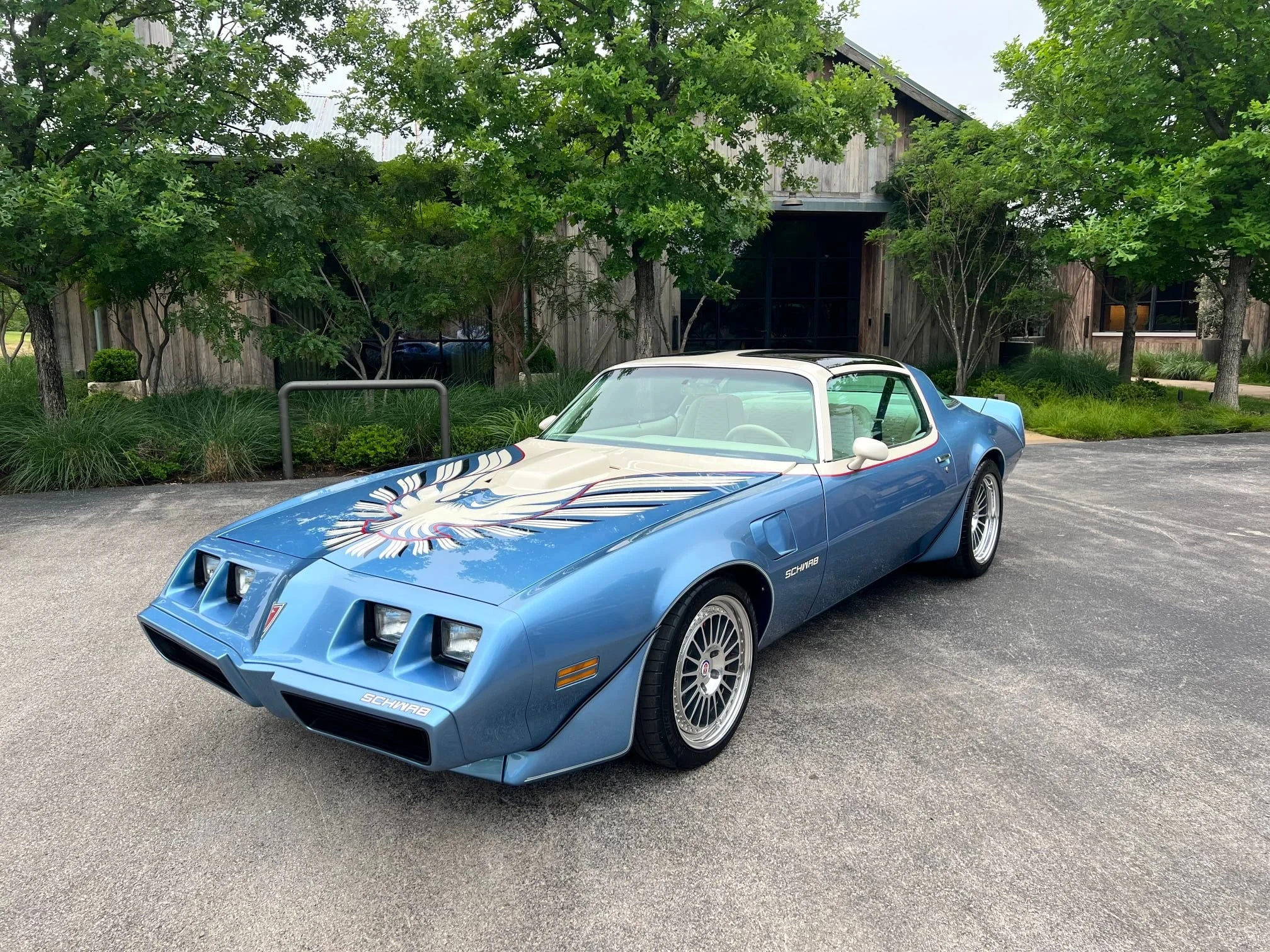 Schwab Trans Am