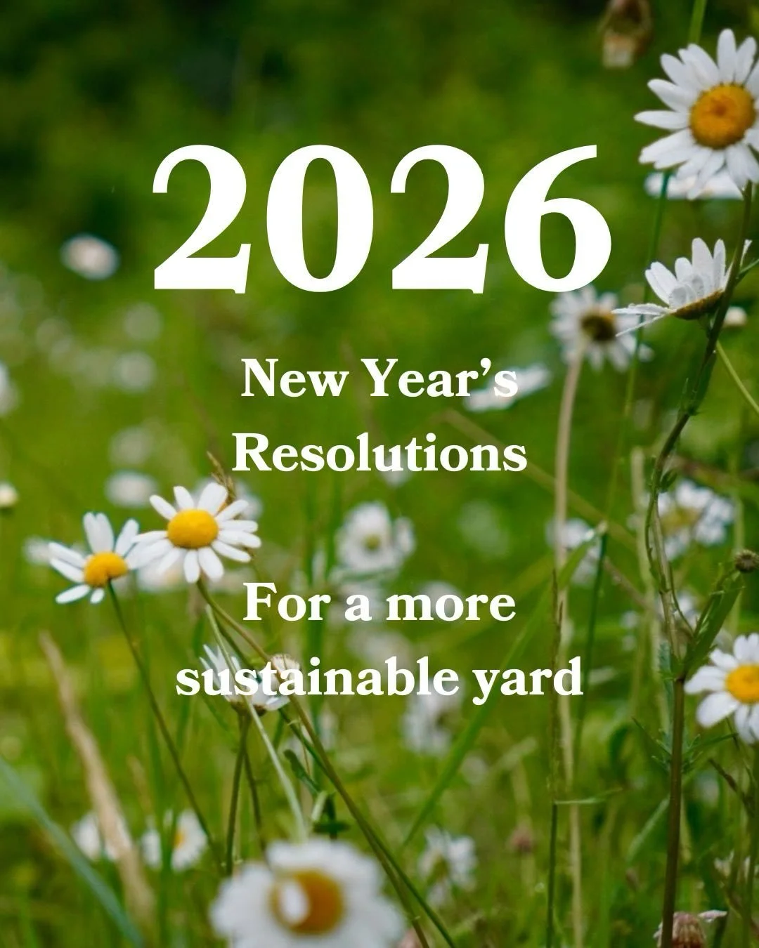If resolutions are your thing, we&rsquo;ve got some good ones that benefit you and the environment 🌱🐝
Grow your own food, plant native and pollinator-friendly plants, skip the chemicals and synthetic fertilizers, ditch dyed mulch and plastic landsc