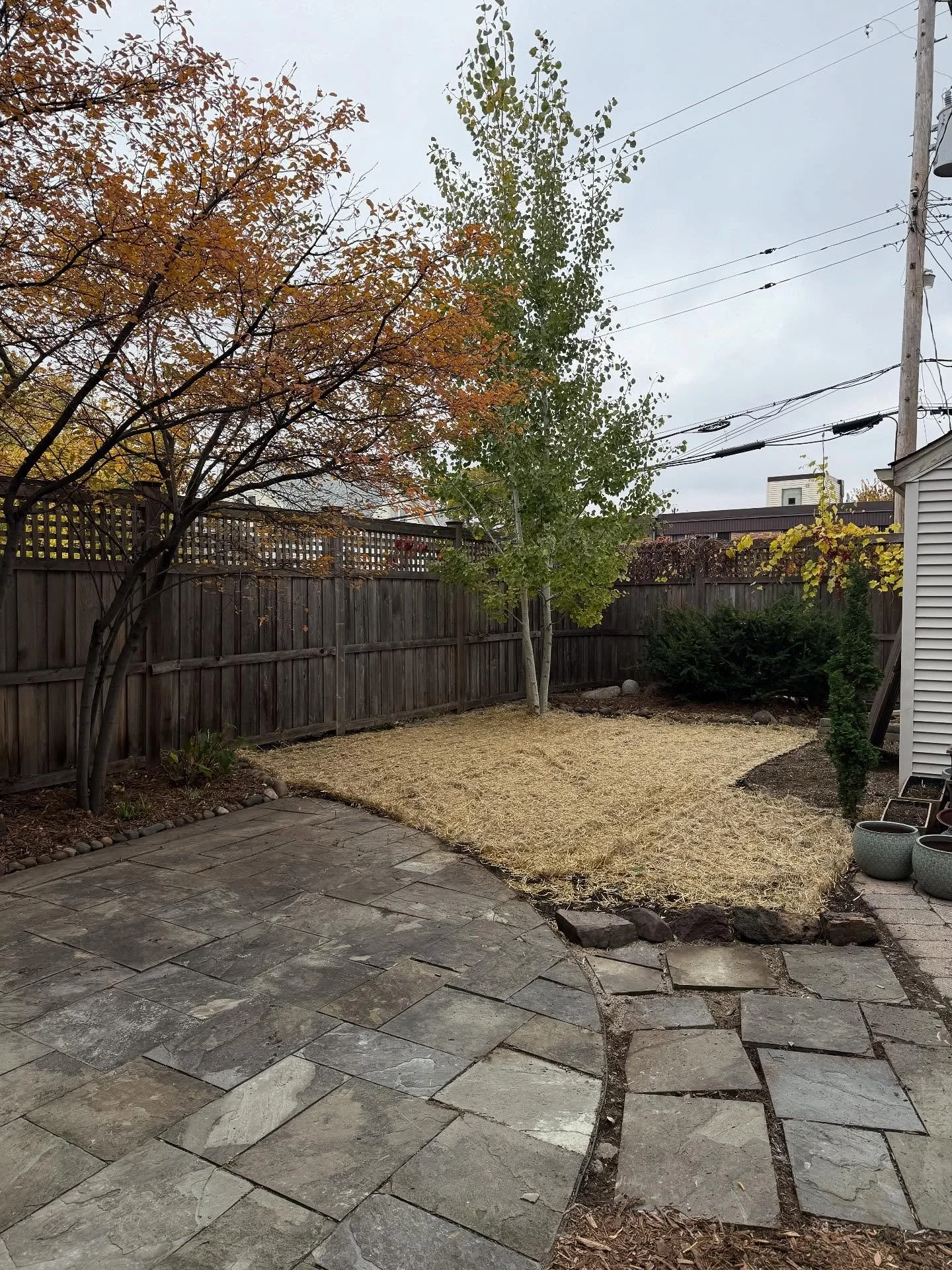 Sometimes a yard just needs a reset. Our clients wanted to make an unused, overgrown space usable again and create a clean, safe area for their toddler to play. We prepped the site and installed a bee lawn that was dormant seeded and will come to lif