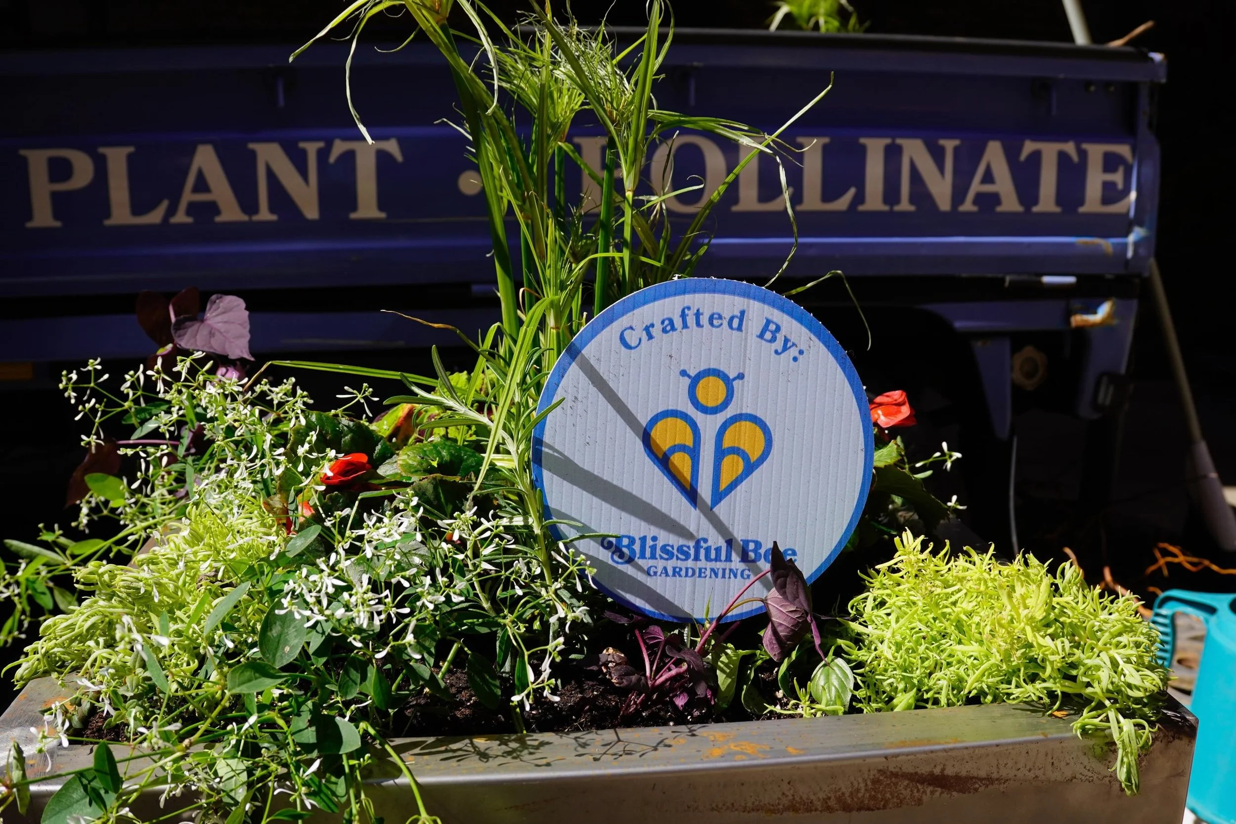 We had such a fun time at the Mill City Farmers Market  doing our decorative potting demo! 

Thank you to everyone who stopped by, chatted with us, and supported local! We&rsquo;re so grateful to be part of such an amazing community of vendors and ma