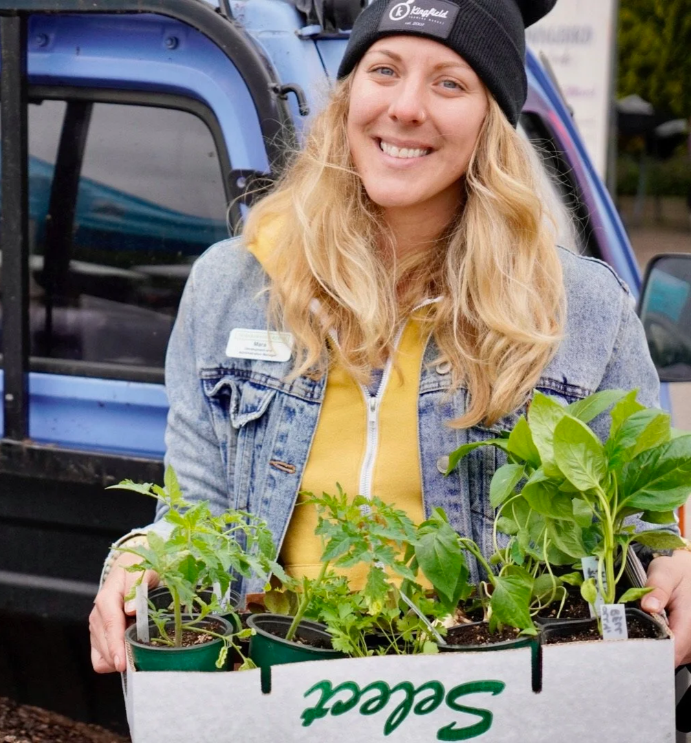 Blissful Bee Gardening delivering veggie plants sourced from the farmers market for vegetable garden installation