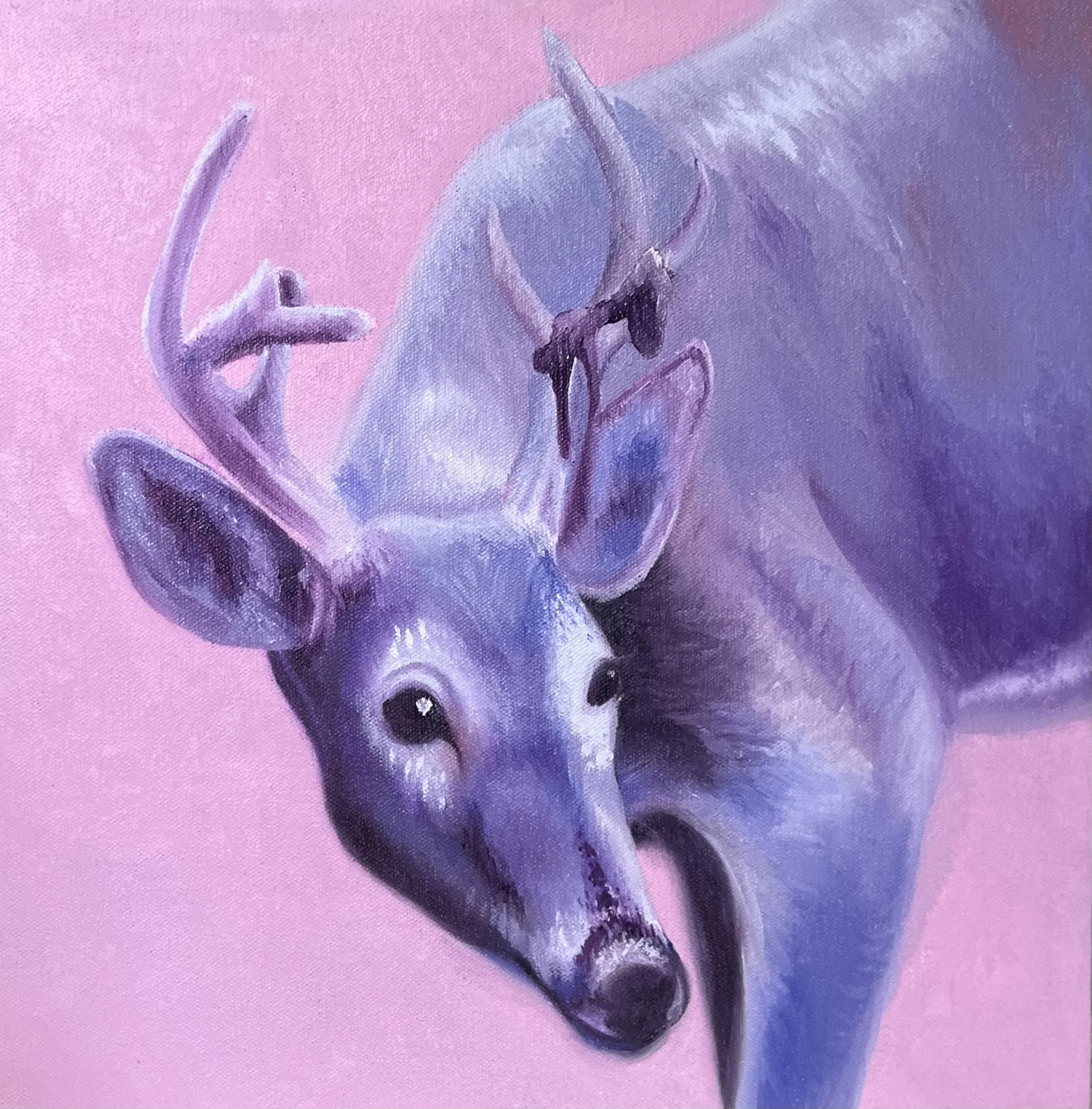 "Wayward", 2025, 12" x 12", oil on canvas