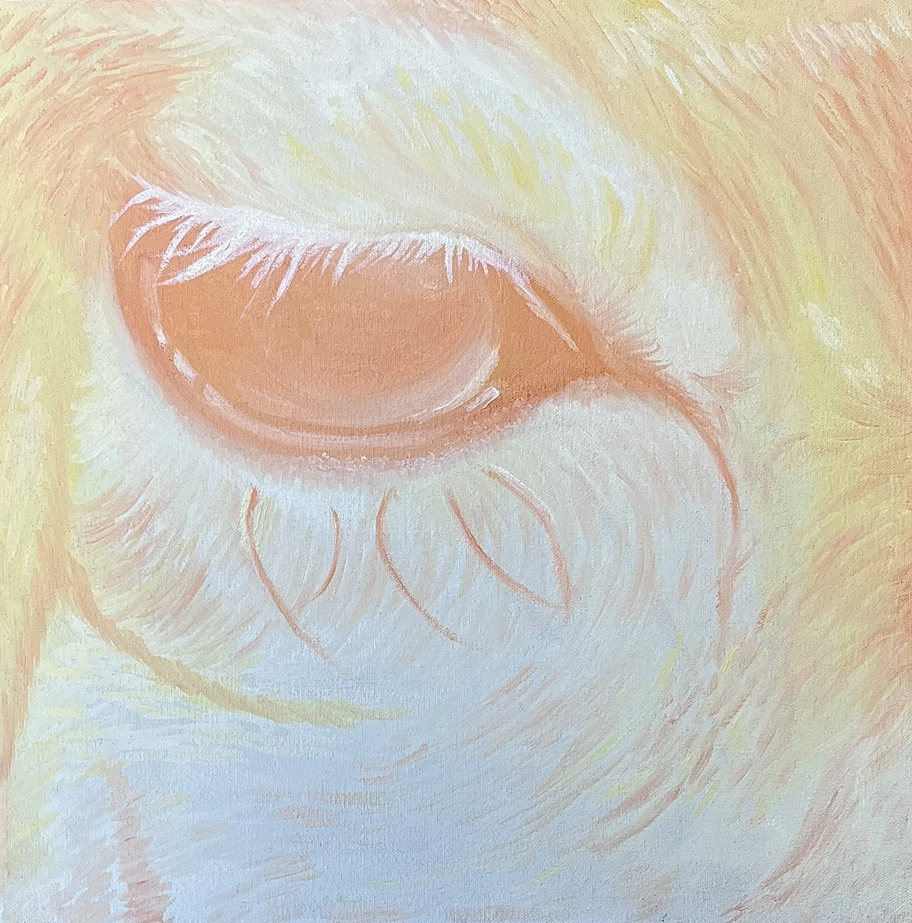 "Eye of Innocence", 2025, 14" x 14", Oil on Canvas
