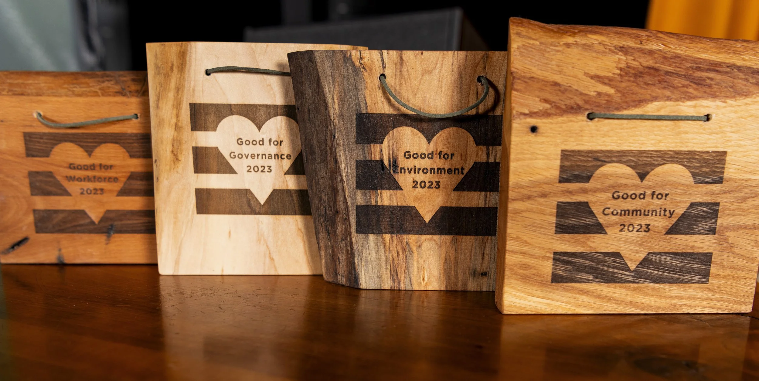 Good For Michigan Awards