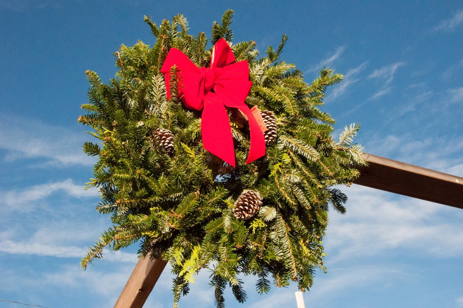 7 Ways to Safely Support West MI Local Food Businesses this Winter
