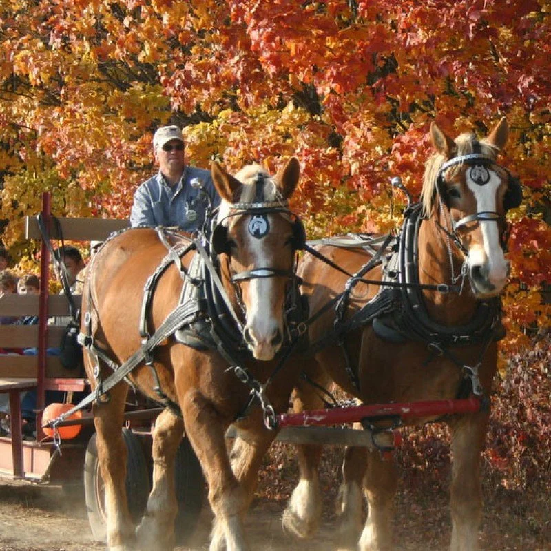 5 ways to enjoy fall in West Michigan