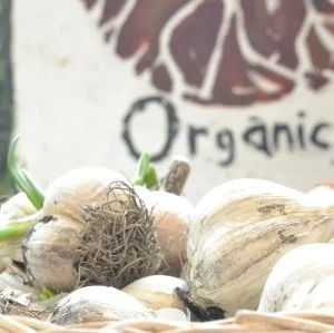Love local food? Support local grocers!