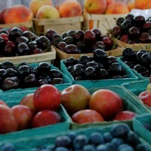 West Michigan Farmers Markets