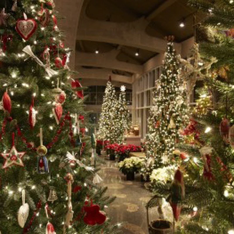 Make the Holidays Merry & Bright with Local First Members!