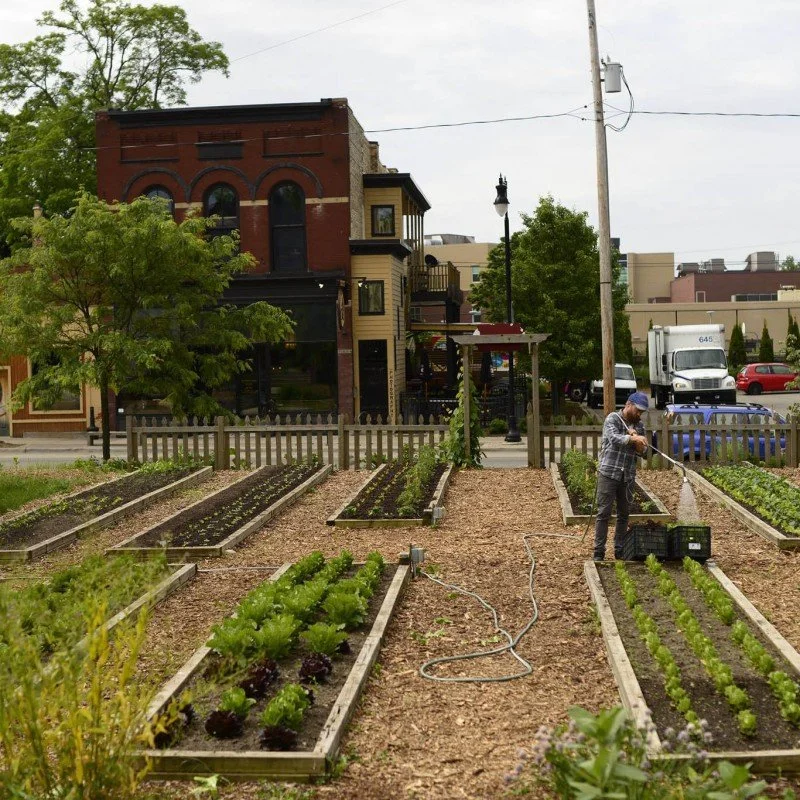 Supporting local farms and creating urban gardens