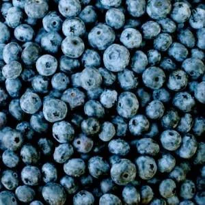 Food Preservation: Freezing