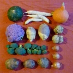 Eating Local for Thanksgiving