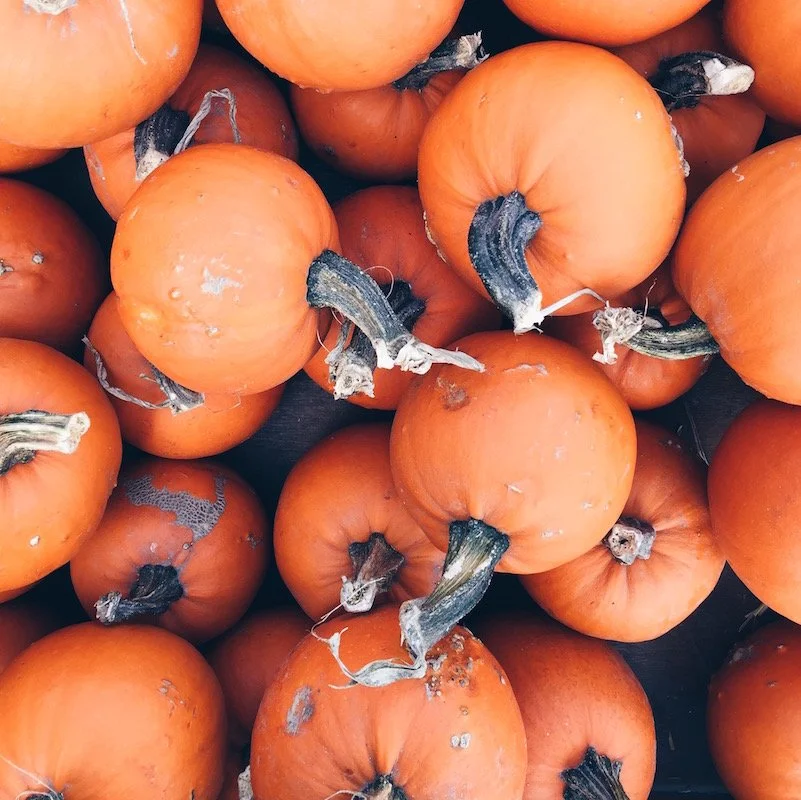A Reflective Thanksgiving
