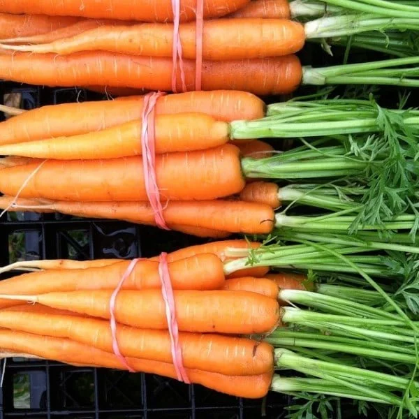 Tips for Storing Fall Crops