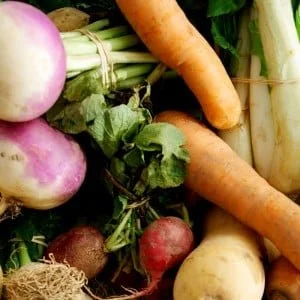 Winter CSA Options
