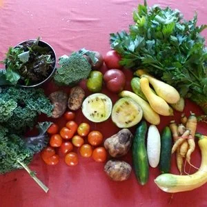 Cooking a CSA Share from Groundswell Community Farm