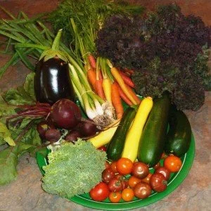 Cooking a CSA Share from New City Urban Farm