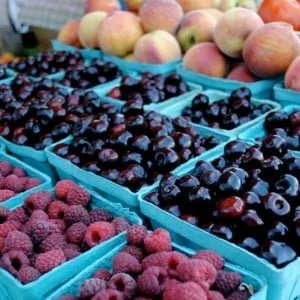 Dissecting the Terminology Behind the Food Movement