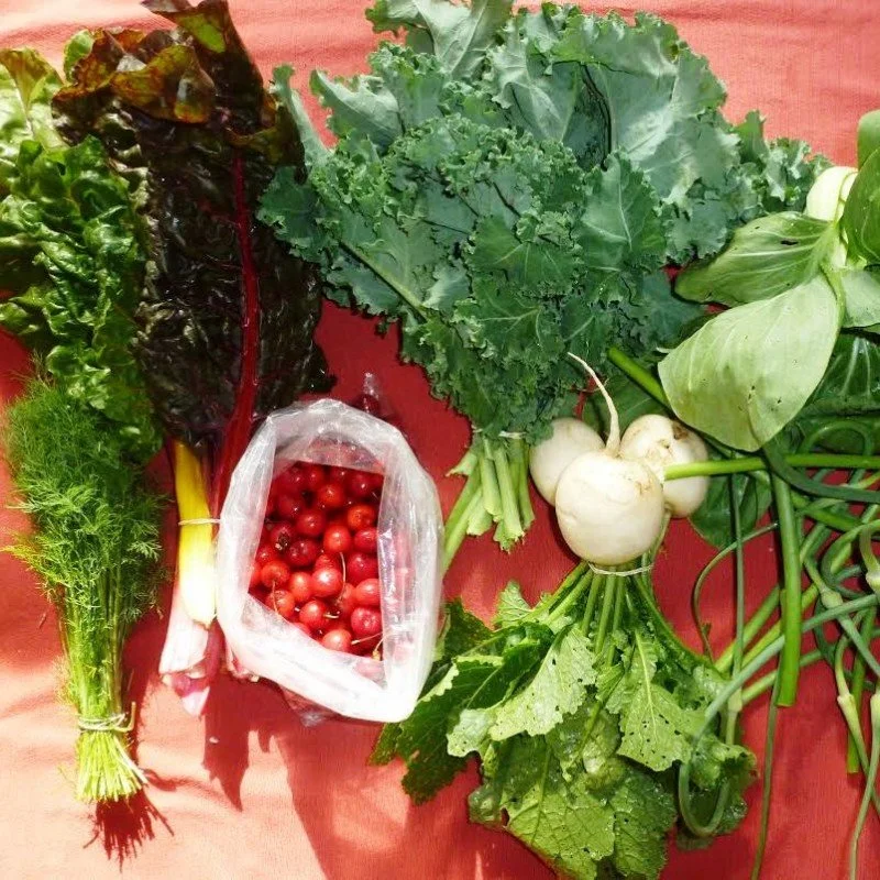 Cooking a CSA Share from Earthkeeper Farm