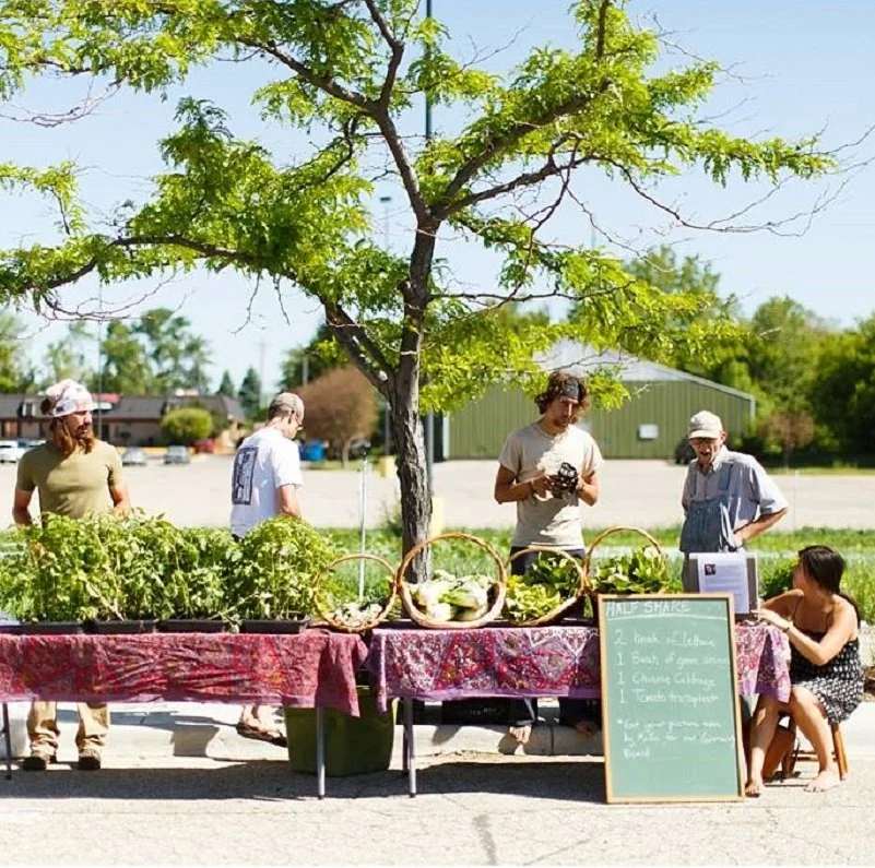 The Charm of Community Supported Agriculture