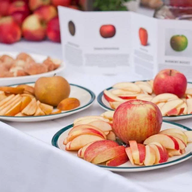 Fork Fest spotlights ‘agricultural abundance’