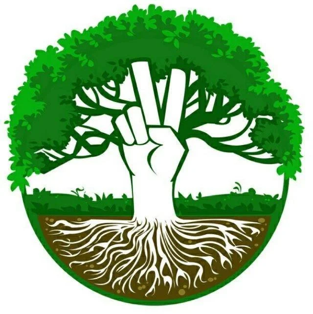 Measure What Matters: Hemp Solutions