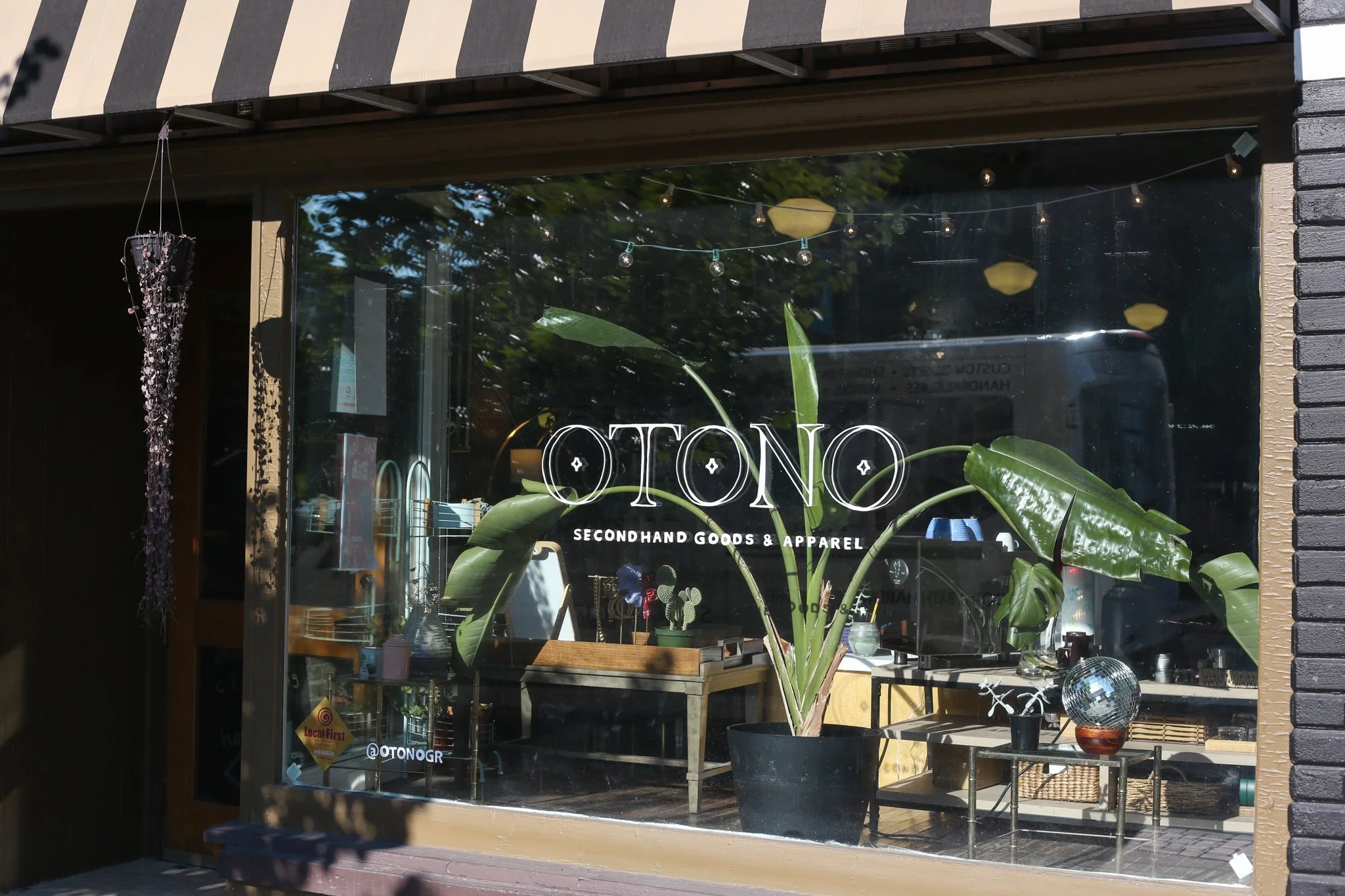 Otono-1.jpg