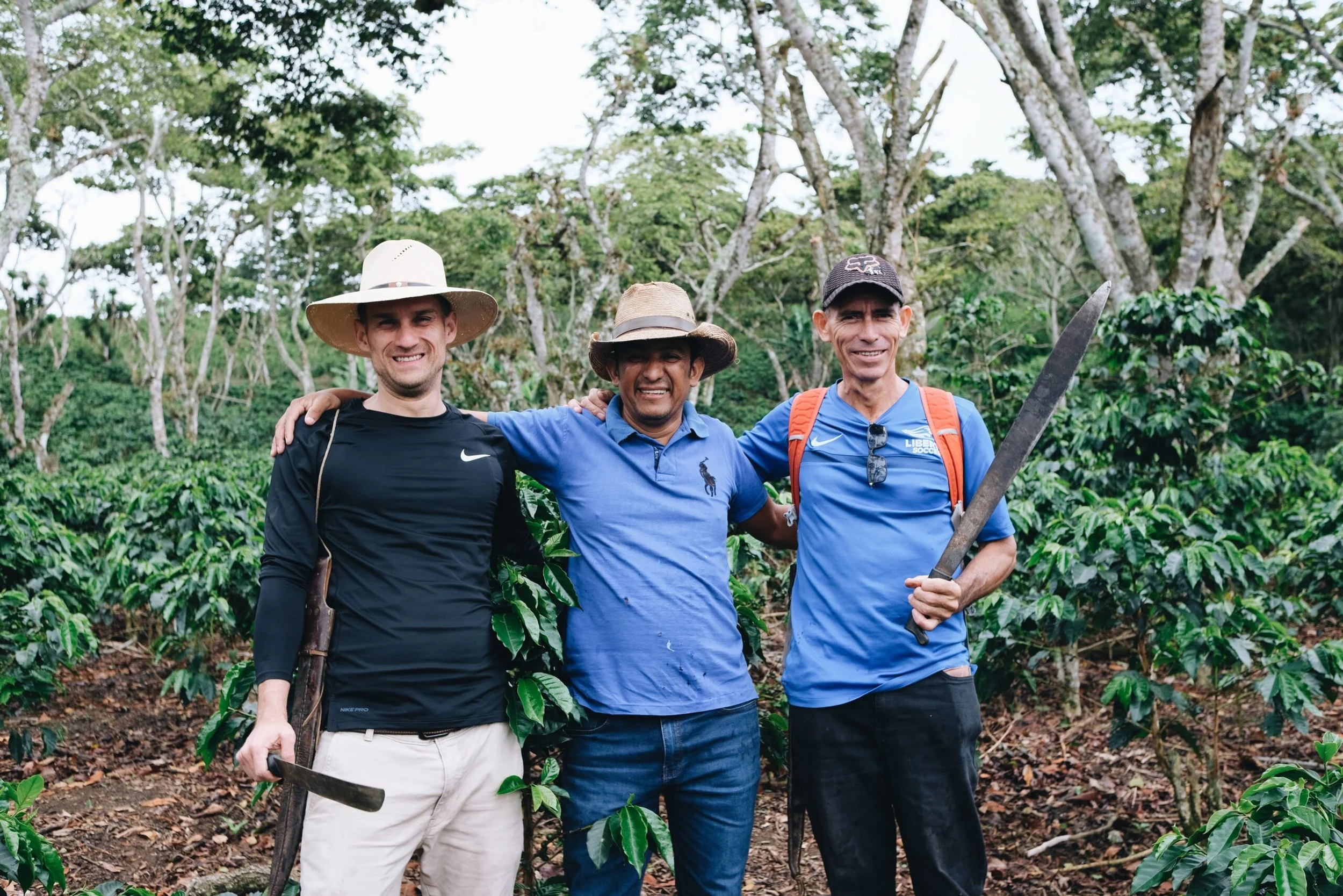 Celebrate 15 Years with Aldea Coffee, MI B Corp