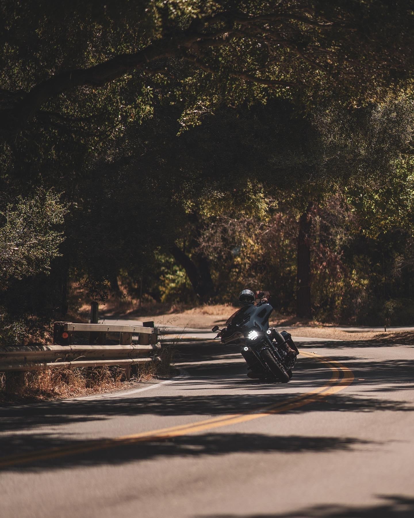A black motorcycle leaning into a turn on a winding country road under large tree branches.