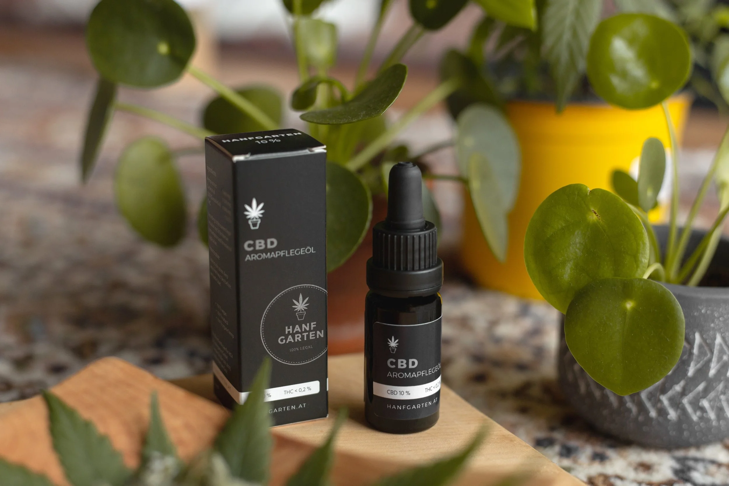 A small black bottle labeled CBD Aroma Drop with a dropper cap, placed next to its box, on a wooden surface surrounded by potted plants.
