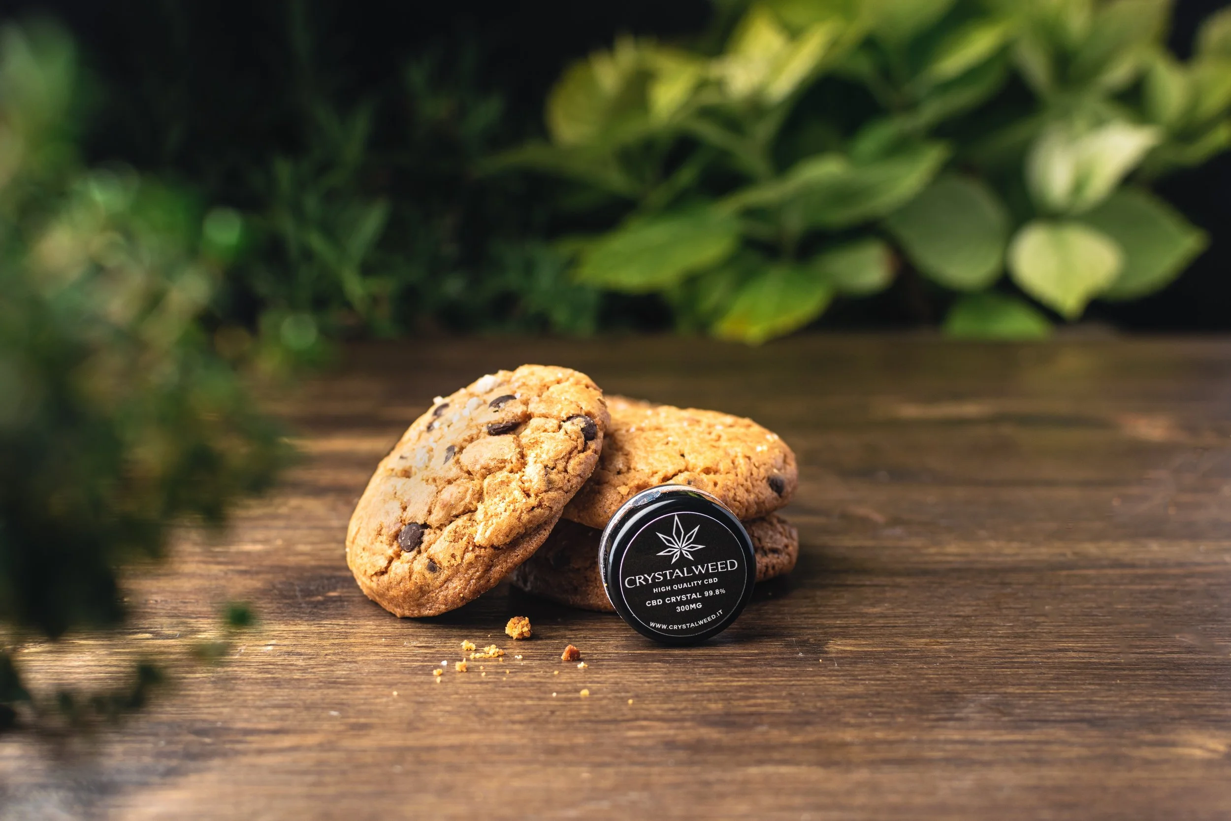 Chocolate chip cookies on a wooden surface with a small container of high-quality CBD from Crystalweed in front, and greenery in the background.