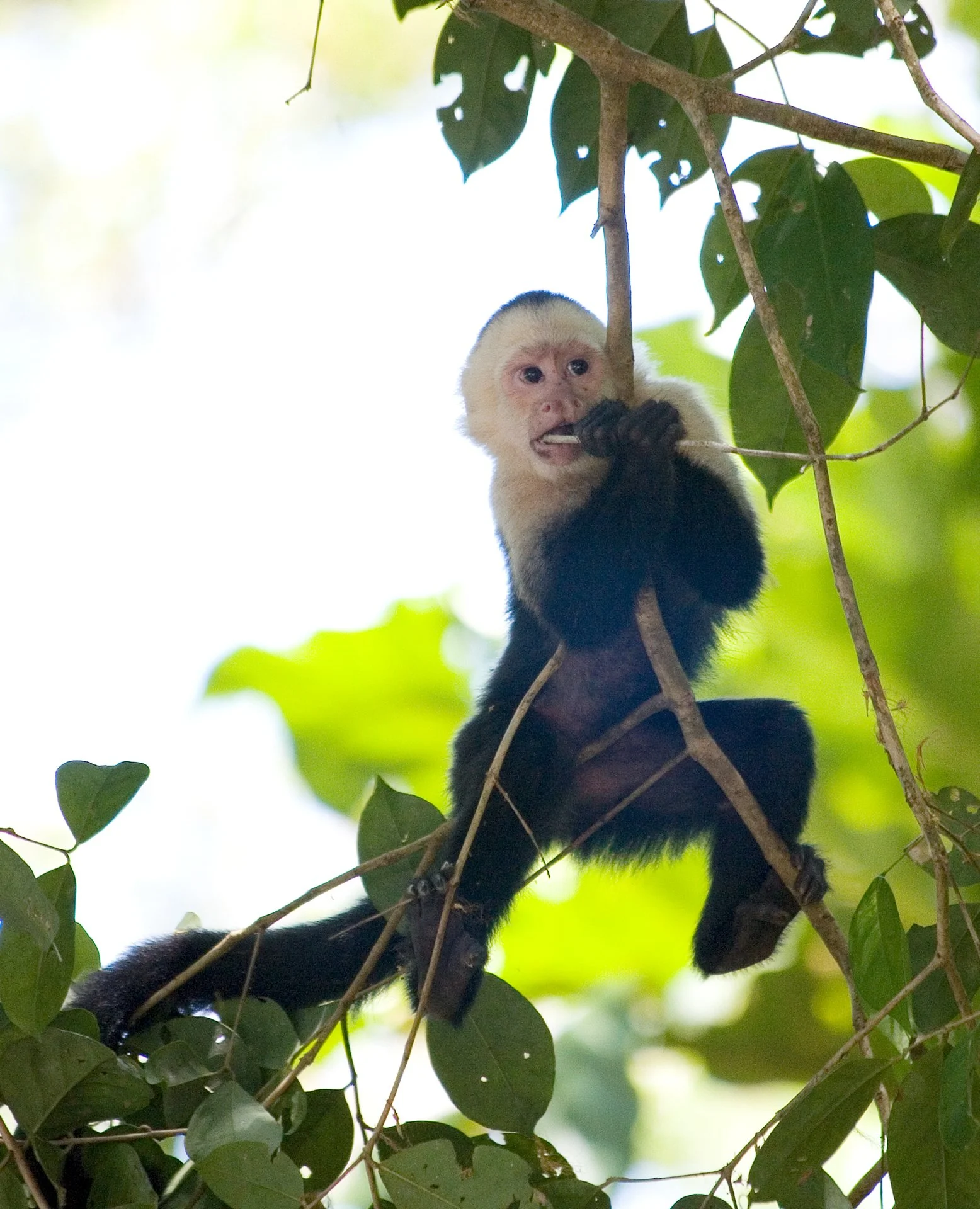 Creatures Small_012.jpeg