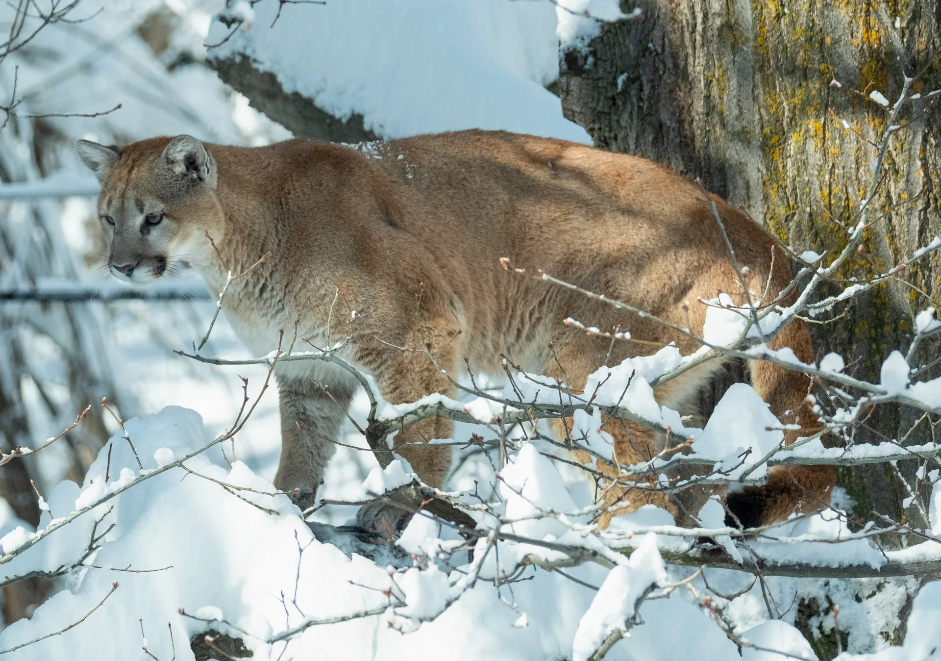 Creatures Great_014.jpeg