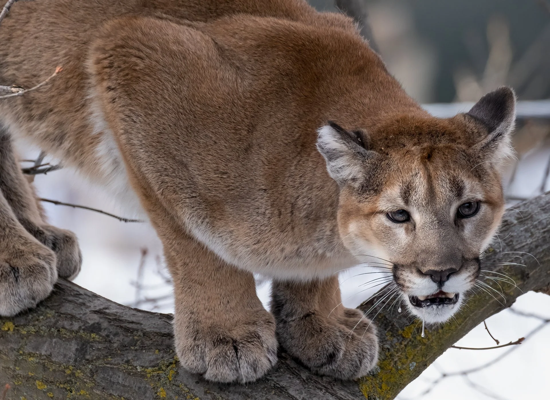 Creatures Great_008.jpeg