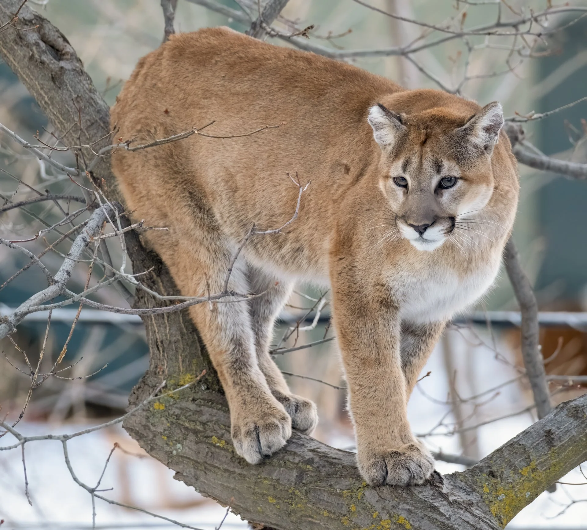 Creatures Great_011.jpeg