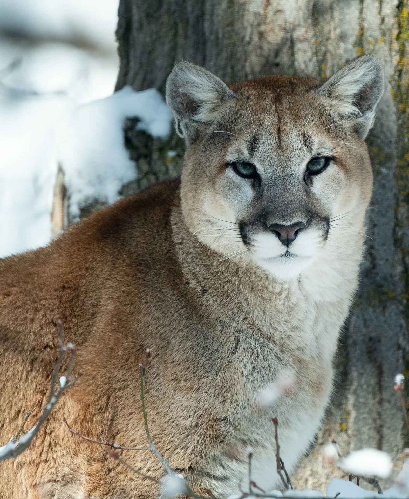 Creatures Great_006.jpeg