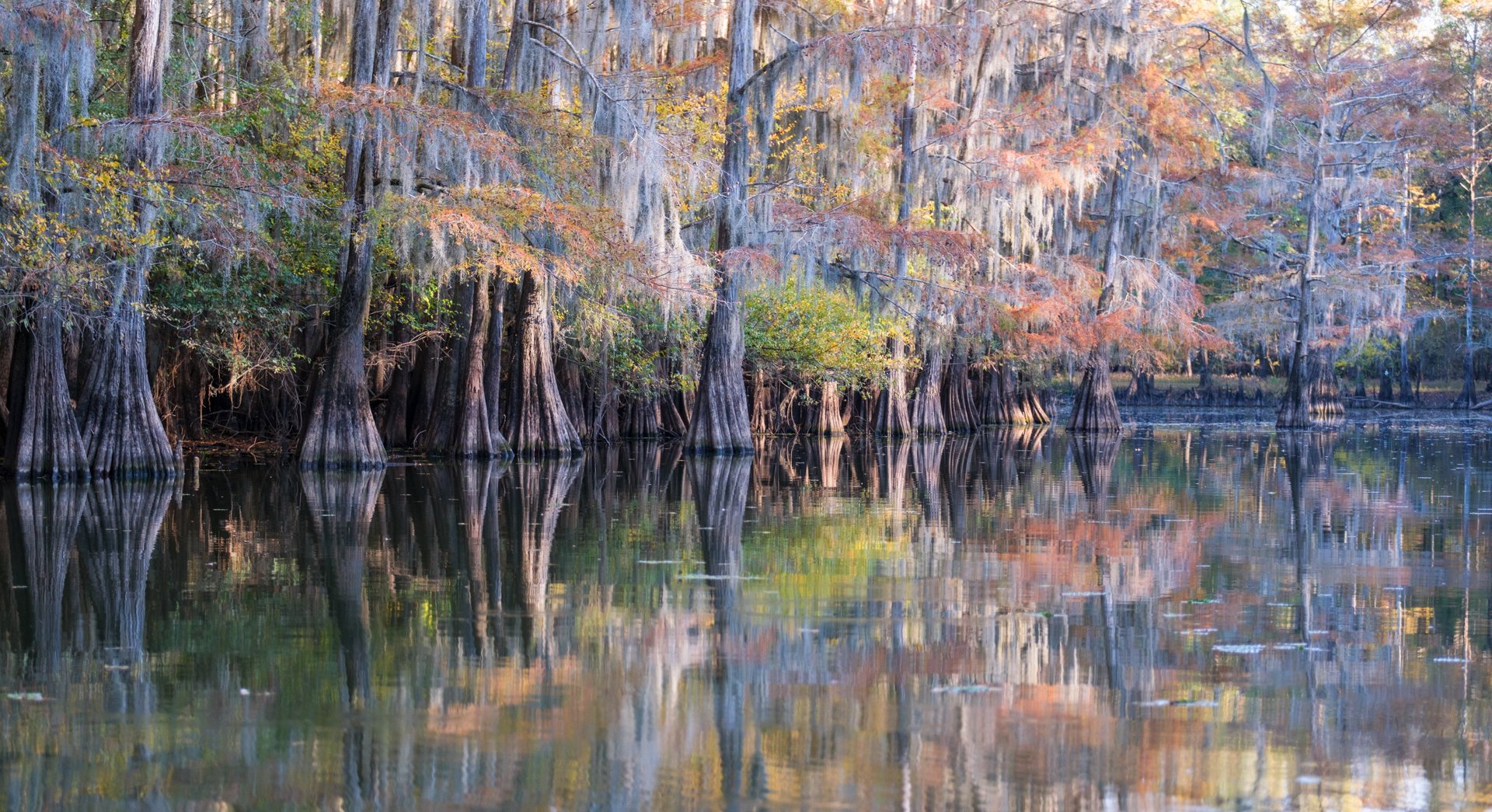 Caddo Lake