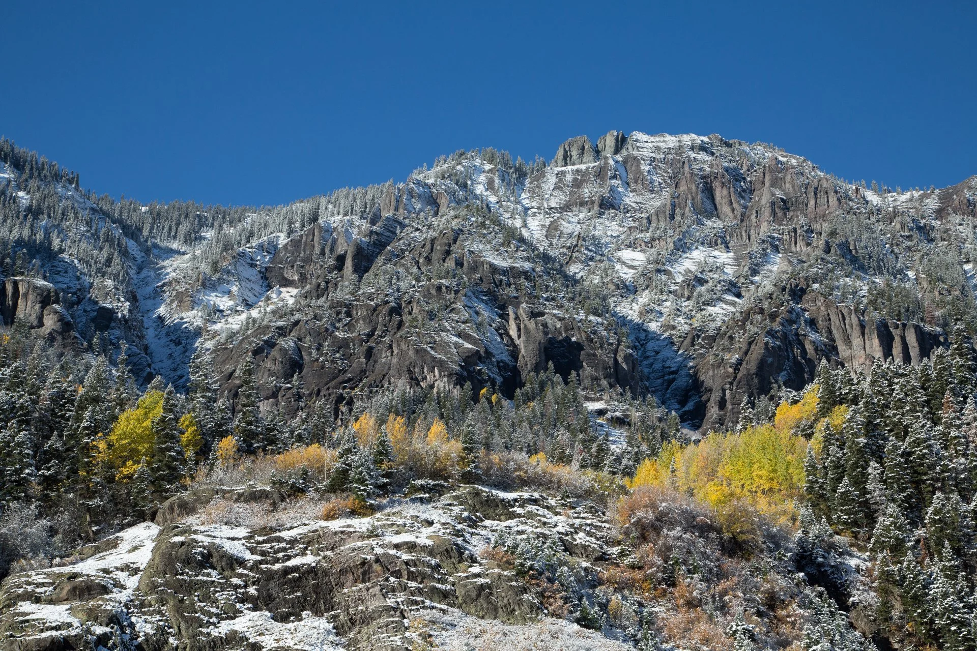 Autumn_in_Colorado_005.jpeg