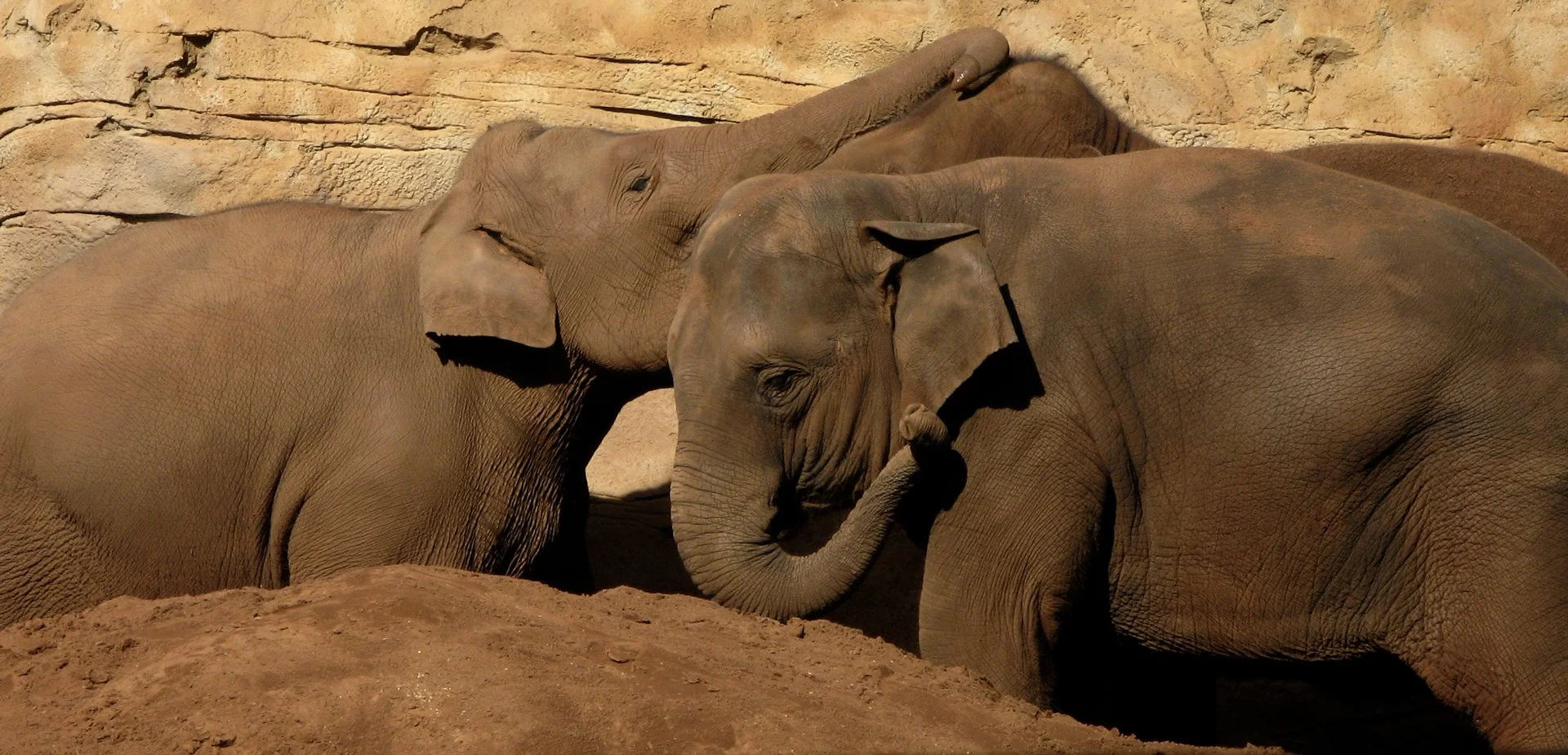 Creatures Great_010.jpeg