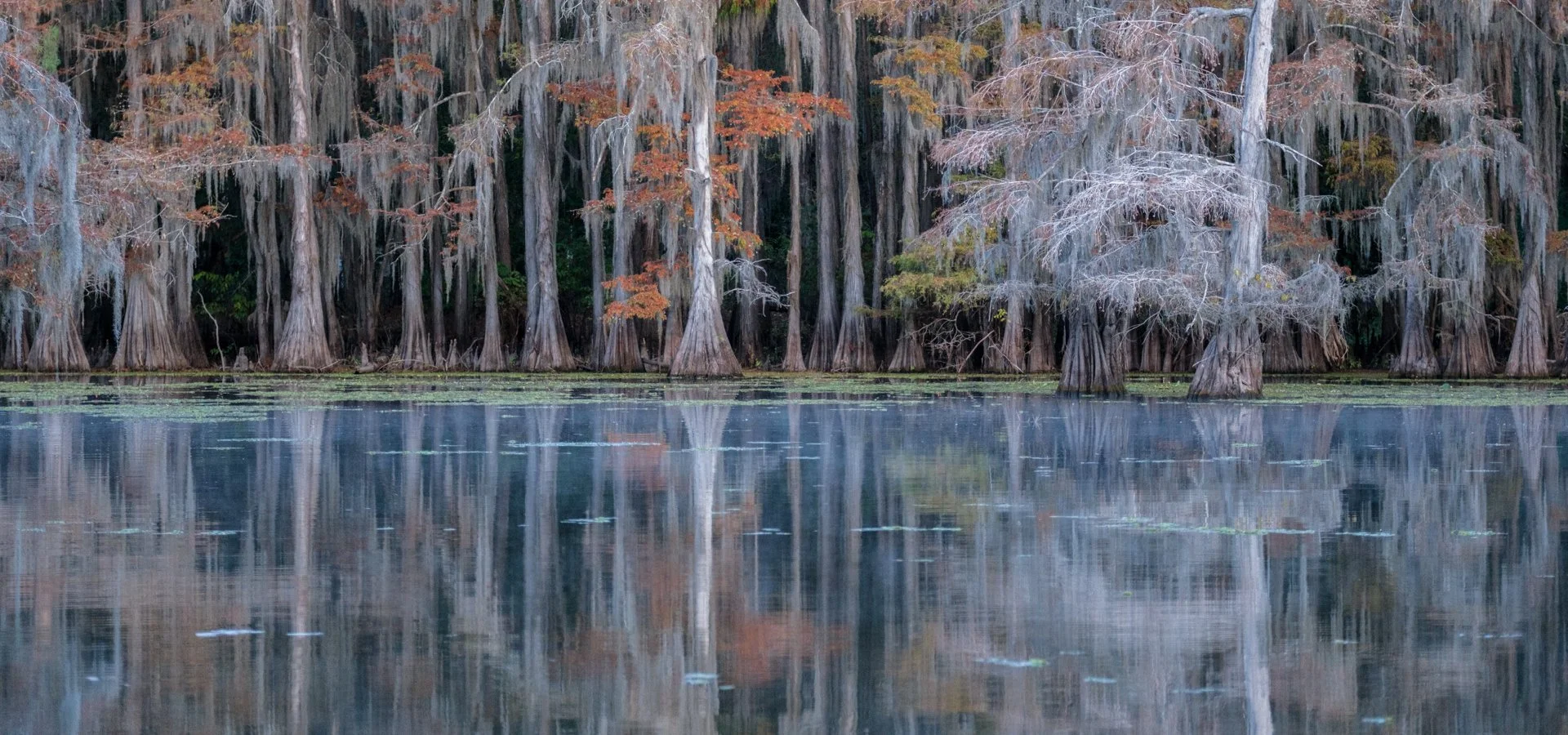Caddo_Lake_005.jpeg