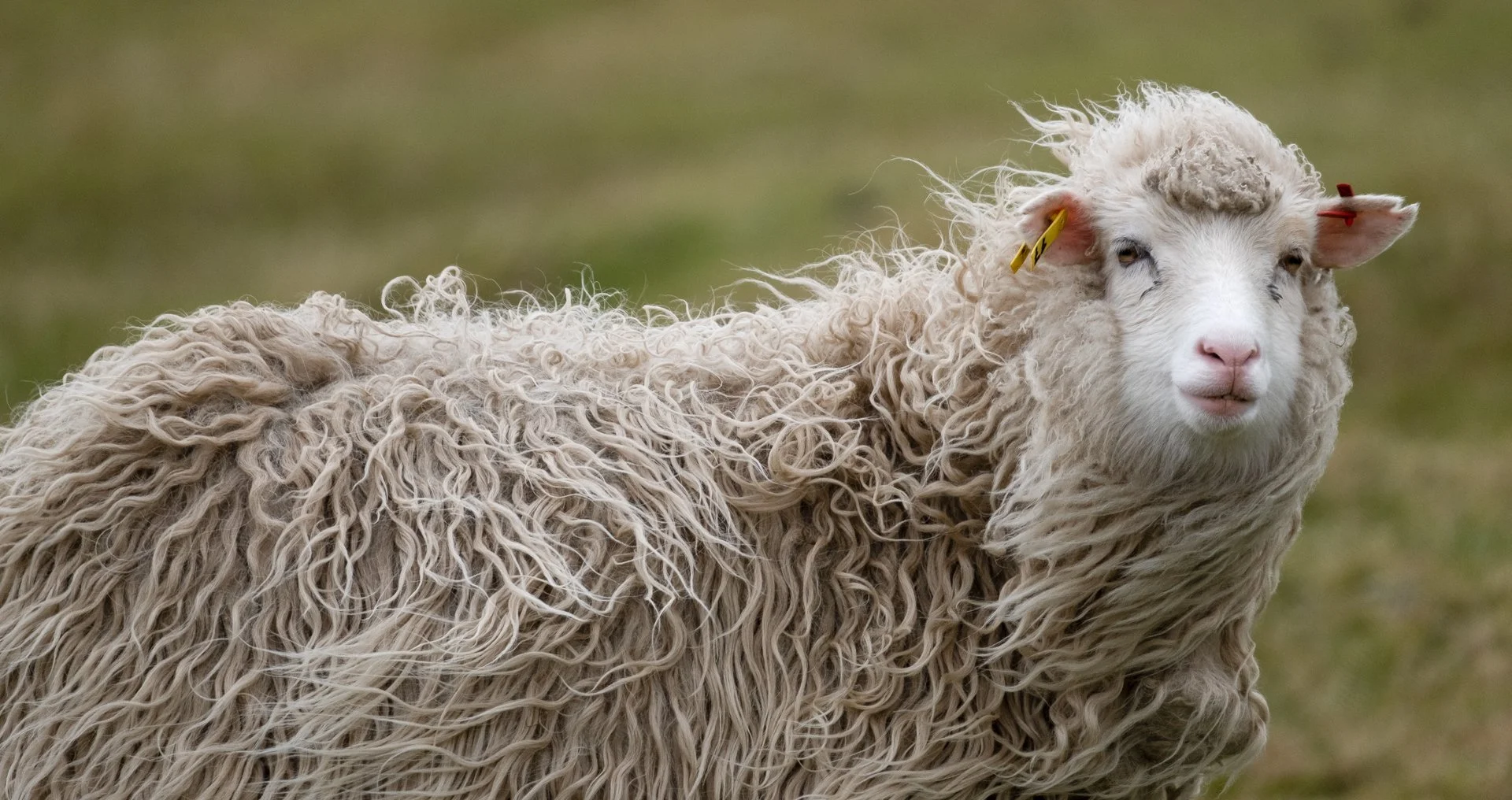 Creatures Great_012.jpeg